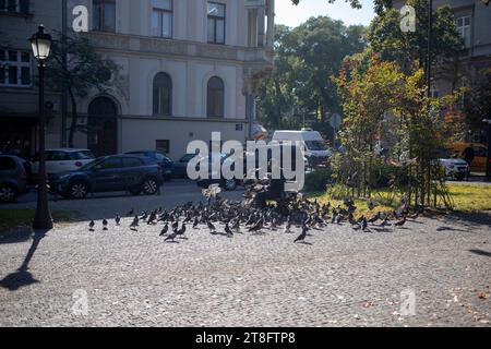 Belgrado, Serbia, 18 ottobre 2023: Un anziano gentiluomo che dà da mangiare ai piccioni nel parco Foto Stock