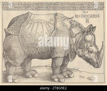 Albrecht Dürer (1471 - 1528), Rhinocerus, stampa media creazione: 1515, stampa in legno e tipo, dimensione foglio: 24,3 x 30,8 cm, inciso in alto da sinistra a destra 'Nach Christus gepurt 1513. Vasetto. ADI. io maggio. ... Dicono Foto Stock