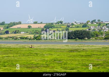 Le turbine eoliche punteggiano le colline del North Devon sopra il villaggio di Ashford sull'estuario del fiume Taw, come visto dal Tarka Trail. Foto Stock