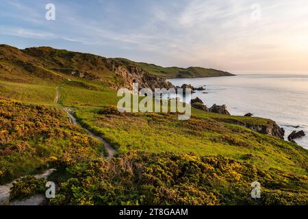 Il sole serale splende sulla costa frastagliata di Rockham Bay e Morte Point vicino a Woolacombe nel Devon settentrionale. Foto Stock