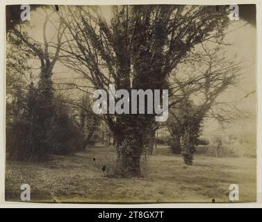 Parc Delessert, 32 quai de Passy, 16° arrondissement, Parigi, Atget, Eugène (Jean Eugène Auguste Atget), fotografo, Fotografia, arti grafiche, stampa in albume, dimensioni - lavoro: altezza: 17,7 cm, larghezza: 22,4 cm Foto Stock