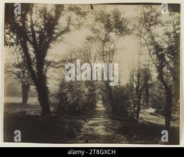 Parc Delessert, 32 quai de Passy, 16° arrondissement, Parigi, Atget, Eugène (Jean Eugène Auguste Atget), fotografo, Fotografia, arti grafiche, stampa in albume, dimensioni - lavoro: altezza: 17,7 cm, larghezza: 22,4 cm Foto Stock