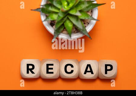 Simbolo di riepilogo, parola concettuale, ricapitolare, su cubi di legno, splendido sfondo arancione con succulenti, concetto di business, riepilogo aziendale, spazio copia, fl Foto Stock