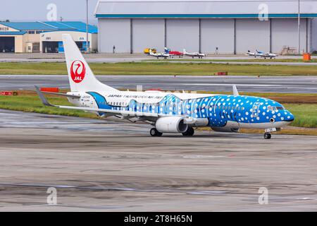 Boeing 737-800 Flugzeug Flughafen Okinawa Japan Transocean Air a Naha, Giappone Jinbei Sonderbemalung Naha, Giappone. , . Ein Boeing 737-800 Flugzeug der Japan Transocean Air mit dem Kennzeichen JA05RK und der Jinbei Sonderbemalung auf dem Flughafen Okinawa OKA a Naha, Giappone. *** Japan Transocean Air Boeing 737 800 Aircraft Okinawa Airport in Naha, Japan Jinbei Special livery Naha, Giappone 3 ottobre 2023 Un Boeing 737 800 Aircraft of Japan Transocean Air con registrazione JA05RK e la livrea speciale Jinbei presso l'aeroporto di Okinawa OKA a Naha, Giappone credito: Imago/Alamy Live News Foto Stock