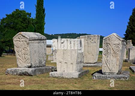 Splendidi sarcofagi/cassoni medievali incisi presso la necropoli stecak di Radimlja vicino a Stolac, Bosnia ed Erzegovina Foto Stock