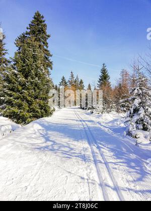 piste di sci di fondo in paesaggi innevati Foto Stock