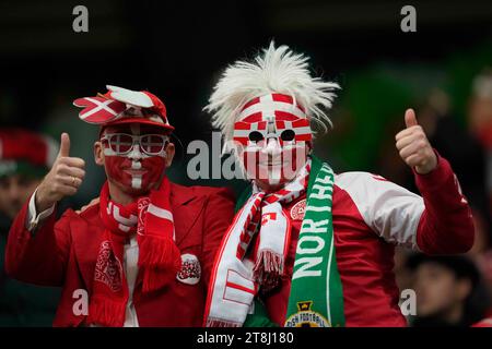 Windsor Park, Belfast, Irlanda del Nord. 20 novembre 2023. Irlanda del Nord contro Danimarca, a Windsor Park, Belfast, Irlanda del Nord. Ulrik Pedersen/CSM/Alamy Live News Foto Stock