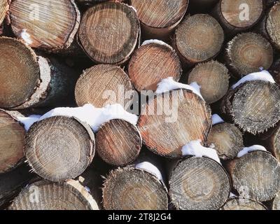 legno sovrapposto ricoperto di neve Foto Stock