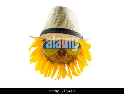 Girasole in cappello e occhiali sotto forma di bandiera dell'Ucraina (primo piano), isolato su sfondo bianco. Il più grande produttore di olio vegetale Foto Stock