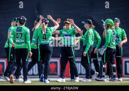 Melbourne, Australia, 19 novembre 2023. I giocatori Melbourne Stars celebrano la loro vittoria dopo la partita della Weber Women's Big Bash League (WBBL 09) tra Melbourne Stars Women e Brisbane Heat Women al CitiPower Centre il 19 novembre 2023 a Melbourne, in Australia. Credito: Santanu Banik/Speed Media/Alamy Live News Foto Stock