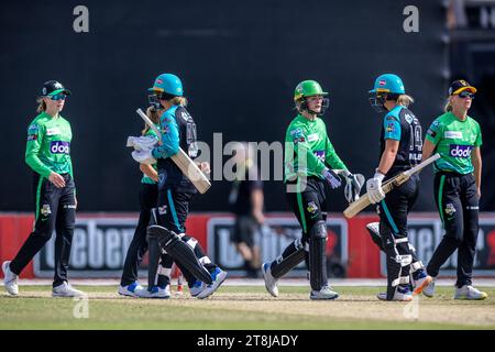 Melbourne, Australia, 19 novembre 2023. I giocatori si stringono la mano durante la partita della Weber Women's Big Bash League (WBBL 09) tra le Melbourne Stars Women e le Brisbane Heat Women al CitiPower Centre il 19 novembre 2023 a Melbourne, Australia. Credito: Santanu Banik/Speed Media/Alamy Live News Foto Stock