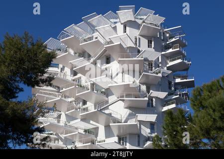 Edificio moderno ' l'Arbre Blanc ', Les Berges du Lez. Montpellier, Occitanie, Francia Foto Stock