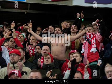 Windsor Park, Belfast, Irlanda del Nord. 20 novembre 2023. Irlanda del Nord contro Danimarca, a Windsor Park, Belfast, Irlanda del Nord. Ulrik Pedersen/CSM/Alamy Live News Foto Stock