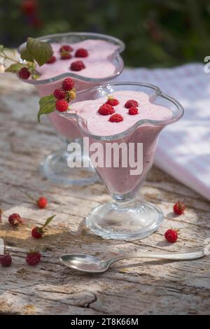 gelato morbido fatto da te, composto da yogurt, qvark e frutta, ghiaccio finito decorato con lamponi, foto della serie 4/4 Foto Stock