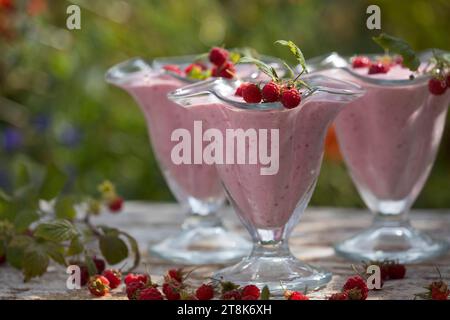 gelato morbido fatto da te, composto da yogurt, qvark e frutta, ghiaccio finito decorato con lamponi, foto della serie 4/4 Foto Stock