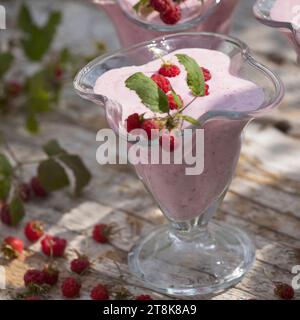 gelato morbido fatto da te, composto da yogurt, qvark e frutta, ghiaccio finito decorato con lamponi, foto della serie 4/4 Foto Stock