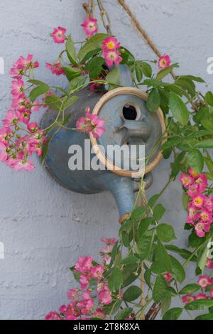 il tè può essere un contenitore per nidificare in un giardino, circondato da una rosa Foto Stock