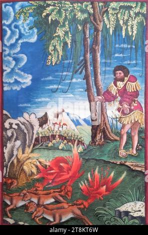 Antico Testamento, Bibbia Lutero, Sansone insegue le volpi nei campi dei Filistei, giudici 15, 4-5, Georg Lemberger, Landshut intorno al 1490/1500 - circa 1540 Lipsia, 1524, stampa, taglio del legno, colorato, foglio: ca. 17,5 x 11,5 cm, su carta finale 1 verso: 'G. L. Gottfried Leigel', vedi sotto 'attribuzioni storiche Foto Stock