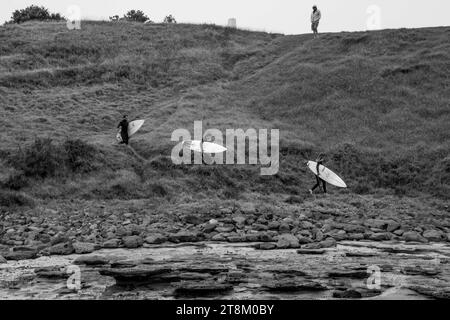 Tre surfisti camminano lungo un argine a Sandon Point Beach, Bulli NSW. Foto Stock