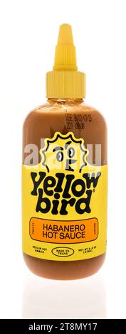 Winneconne, WISCONSIN - 18 novembre 2023: Una bottiglia di salsa calda habanero di uccello giallo su uno sfondo isolato Foto Stock