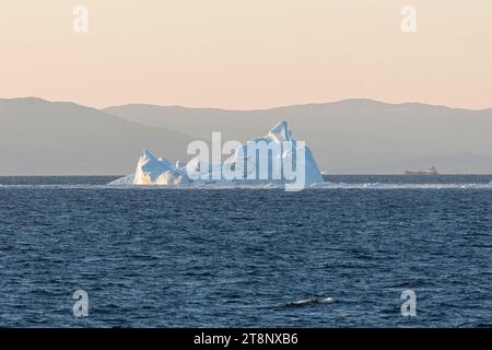 Un iceberg galleggia al sole del mattino contro la silhouette delle montagne della costa della Groenlandia. Disko Bay, Groenlandia, Danimarca Foto Stock