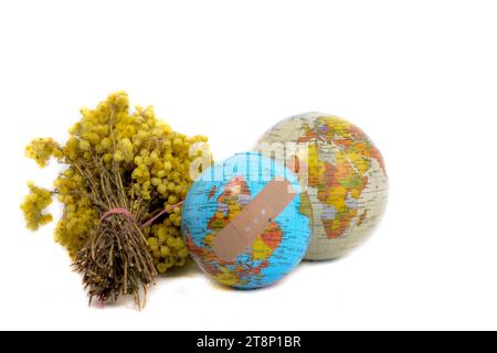Globi e un mazzo di fiori selvatici gialli su sfondo bianco Foto Stock