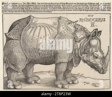 Rhinocerus (Das Rhinozeros), Albrecht Dürer (Norimberga 1471 - 1528 Norimberga), 1515, stampa, taglio del legno e stampa tipo, rappresentazione: 21,2 x 29,6 cm, sopra: 'Dopo la nascita di Cristo, 1513. IAR, Adi 1 maggio. Ha glorificato il possente re Emanuele del Portogallo, a Lysabona in India // un tale animale vivente. E' quello che chiamano Rhinocerus, e' hye Abconperfect con tutte le sue forme. Ha un colore come una tartaruga macchiata, VND è di vber a guscio spesso, // definisce molto saldamente. Ed è più grande dell'Helffandt, ma più bassa di Baynen, e molto ben fortificata. Ha un'affilatura Foto Stock