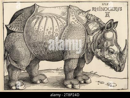 Rhinocerus (Das Rhinozeros), Albrecht Dürer (Norimberga 1471 - 1528 Norimberga), 1515, stampa, taglio del legno, foglio: 21,8 x 30,6 cm Foto Stock