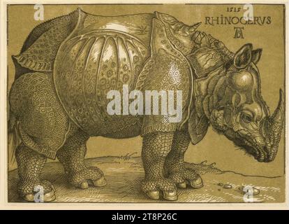 Rhinocerus (Das Rhinozeros), Albrecht Dürer (Norimberga 1471 - 1528 Norimberga), 1515 (Abruck Janssen, Amsterdam, dopo il 1620), stampa, tagliato di legno (clair obscur woodcut), con piatto di tonalità oliva, foglio: 21,9 x 30, 6 cm Foto Stock