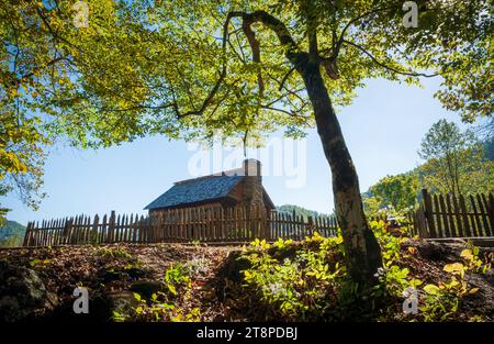 Mountain Farm Museum e Mingus Mill presso il Great Smoky Mountains National Park nel North Carolina Foto Stock