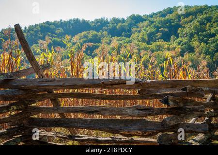 Mountain Farm Museum e Mingus Mill presso il Great Smoky Mountains National Park nel North Carolina Foto Stock