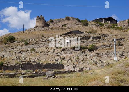 Bergama, situata nella provincia di Smirne, nella Turchia occidentale, è famosa per il suo cotone, l'oro e i tappeti squisiti. Un tempo nucleo culturale di Pergamo in epoca greca e romana, la ricca miniera di antiche rovine di questa città rimane un'attrazione importante per i turisti. In particolare, il suo famoso Tempio ha trovato una nuova sede nel Museo di Pergamo a Berlino, in Germania. Bergama vanta notevoli rovine come il santuario di Asclepio, un tempio di dio curativo, un teatro greco e il complesso della basilica rossa ('Kizil Avlu' in turco) Foto Stock