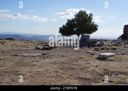 Bergama, situata nella provincia di Smirne, nella Turchia occidentale, è famosa per il suo cotone, l'oro e i tappeti squisiti. Un tempo nucleo culturale di Pergamo in epoca greca e romana, la ricca miniera di antiche rovine di questa città rimane un'attrazione importante per i turisti. In particolare, il suo famoso Tempio ha trovato una nuova sede nel Museo di Pergamo a Berlino, in Germania. Bergama vanta notevoli rovine come il santuario di Asclepio, un tempio di dio curativo, un teatro greco e il complesso della basilica rossa ('Kizil Avlu' in turco) Foto Stock