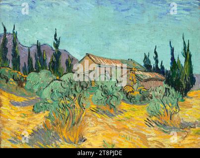 Vincent van Gogh - Cabanes de bois parmi les oliviers et cyprés (F 623). Foto Stock