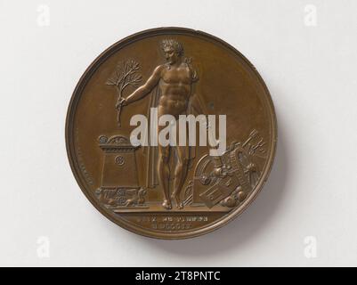 Pace di Vienna, 14 ottobre 1809, Andrieu, Bertrand o Jean-Bertrand, Medal Engraver, Array, Numismatics, Medal, Dimensions - Work: diametro: 4,1 cm, peso (tipo dimensione): 38,54 g. Foto Stock