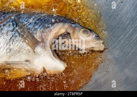 Il pesce tilapia viene fritto in olio in una padella, da vicino Foto Stock