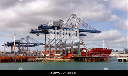 Ports of Auckland, New Zealand, Ports of Auckland, New Zealand Limited, successore dell'Auckland, New Zealand Harbour Board, è la società di proprietà del Consiglio che gestisce le strutture portuali di Auckland, navi da crociera e merci commerciali della nuova Zelanda Foto Stock