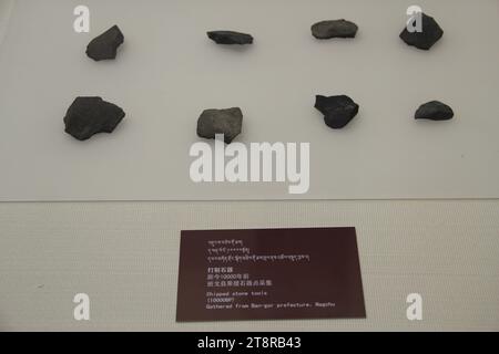 Strumenti di pietra paleolitica, Galleria di storia tibetana, Museo Tibet, Lhasa Foto Stock