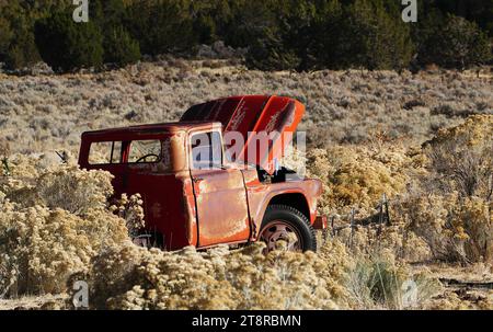 Il vecchio pick-up, Un pick-up, è un dumper per impieghi leggeri con cabina chiusa e area di carico aperta con lati bassi e portellone. Una volta un'attrezzatura con pochi comfort, negli anni '1950 i consumatori hanno iniziato ad acquistare i prelievi per motivi di stile di vita e negli anni '1990 meno del 15% dei proprietari ha dichiarato di utilizzare il carrello come scopo principale del pick-up. Oggi in Nord America, il pick-up viene utilizzato principalmente come un'autovettura e rappresenta circa il 18% del totale dei veicoli venduti negli Stati Uniti Foto Stock