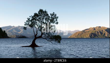 The Tree Lake Wanaka. Nuova Zelanda, Una gemma nascosta della nuova Zelanda, la spettacolare area del lago Wanaka è incorniciata dalle scintillanti Alpi meridionali delle Isole Sud. Alle porte del Parco Nazionale del Monte Aspiring, sito Patrimonio dell'Umanità, il programma giornaliero include l'esplorazione di vette alpine, cascate ruggenti, immensi ghiacciai e lussureggianti foreste pluviali. Ritiratevi in villaggi alla moda, i cui locali eclettici e amichevoli sono ansiosi di condividere i loro consigli preferiti con i visitatori. Assicurati di informarti sulla posizione del famoso (e molto fotogenico) Lone Tree del lago Wanaka Foto Stock