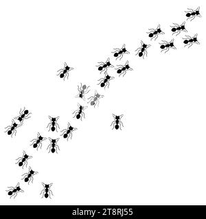 Insetti insetti formiche Insect banner pismire emmet icone vettoriali segni divertenti Una linea di lavoratori formiche che marciano per la ricerca banner silhouette lo Illustrazione Vettoriale