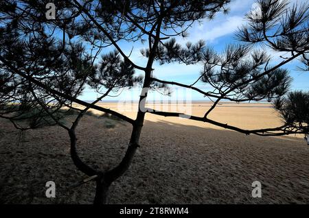 Pozzetti-next-la-sea beach, a nord di Norfolk, Inghilterra Foto Stock