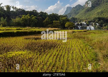 La cascata Ban Gioc Detian tra Cina e Vietnam Foto Stock