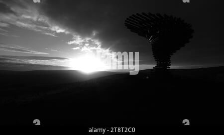 Canta Ringing Tree catturata all'alba il sole e il punto di riferimento sono entrambi presenti nel punto di messa a fuoco centrale in bianco e nero con atmosfera nuvolosa e ombra. Foto Stock