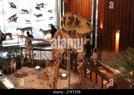 Tarbosaurus Skeleton, Land Bank Exhibition Hall, National Taiwan Museum. Taipei, Taiwan Foto Stock