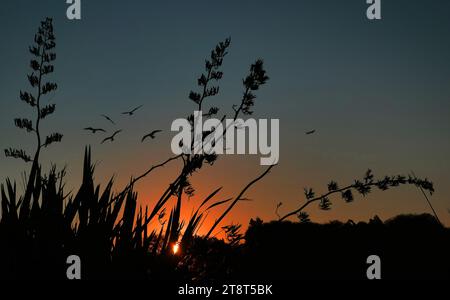 Sunset Glow, Sunset, noto anche come Sundown, è la scomparsa quotidiana del Sole sotto l'orizzonte a causa della rotazione della Terra. Visto dall'Equatore, il Sole equinozio tramonta esattamente verso ovest sia in primavera che in autunno Foto Stock