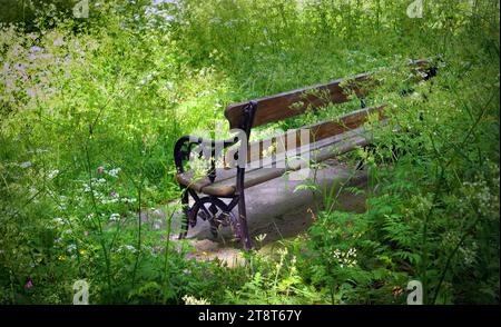 Un posto dove riposare, i Christchurch, New Zealand Botanic Gardens, situati nella città centrale di Christchurch, nuova Zelanda, furono fondati nel 1863 quando fu piantata una quercia inglese per commemorare la solennizzazione del matrimonio del principe Alberto e della principessa Alessandra di Danimarca Foto Stock