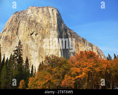 Yosemite National Park, Yosemite National Park, California, vanta valli sospese, cascate che si tuffano, cupole di granito, un boschetto di antiche sequoie e centinaia di specie selvatiche Foto Stock