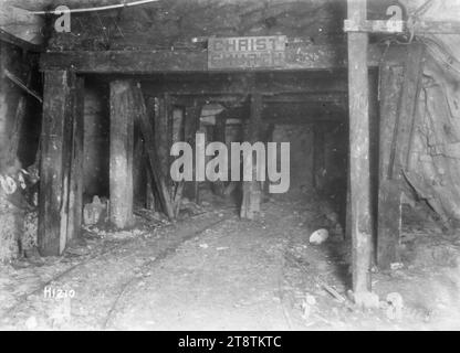 Christchurch, tunnel neozelandese, Arras, Christchurch, tunnel neozelandese ad Arras, Francia, costruito dalla New Zealand Tunnelling Company durante la prima guerra mondiale Fotografia scattata il 4 dicembre 1917 Foto Stock