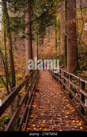 Coed Tan Dinas Walk. Le persone camminano lungo il sentiero pedonale che attraversa i boschi del Gwydir Forest Park in autunno. Betws-y-Coed, Conwy, Galles, Regno Unito, Foto Stock